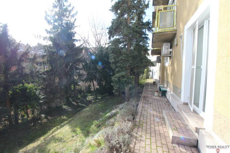 Exteriér s chodníkem a stromy v lokalitě Bratislava - Staré Město na Lichardově ulici.