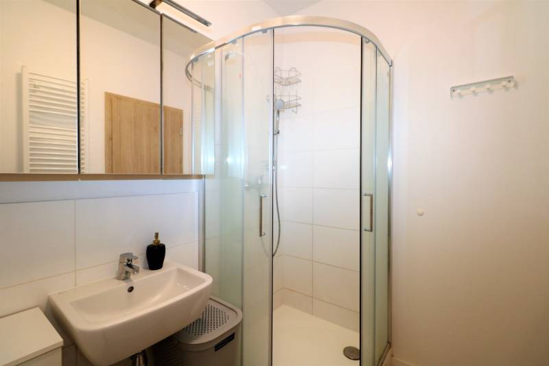 Koupelna s umyvadlem, sprchovým koutem a zrcadlovou skříňkou v 2pokojovém bytě.