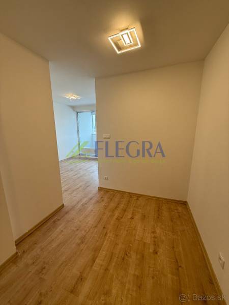 Chodba v 1-pokojovém bytě s podlahou s dřevěným dekorem a moderním svítidlem.