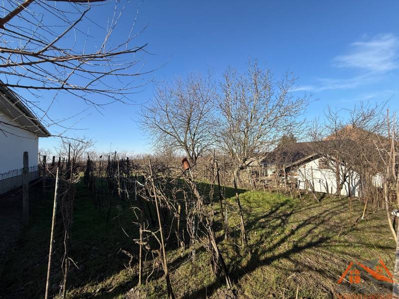 Pozemek pro bydlení na Cintorínské ulici ve Svätém Petru s ovocnými stromy.