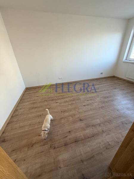 Pokoj v 2-pokojovém bytě s podlahou s dřevěným dekorem a malým psem.