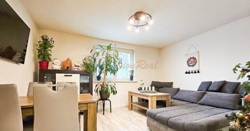 Obývací pokoj s pohovkou, jídelním stolem, pokojovými rostlinami a podlahou s dřevěným dekorem.