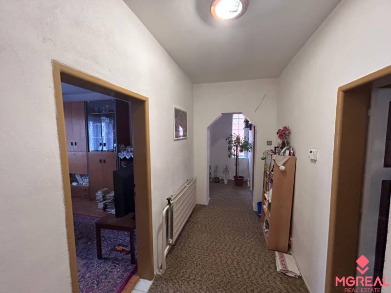 Chodba s kobercem a pokojovými rostlinami v rodinném domě.