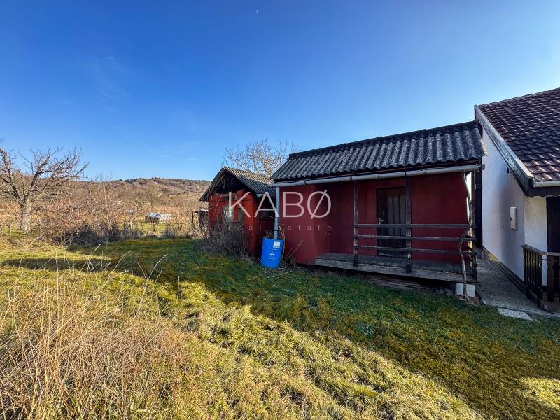 Na Ambrovej ulici v Nitře jsou viditelné skromné dřevěné chatky mezi vinicemi.