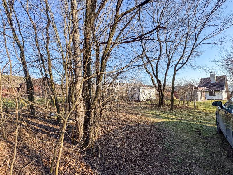 Zahrada s holými stromy a domy na Ambrové ulici ve vinicích v Nitře.