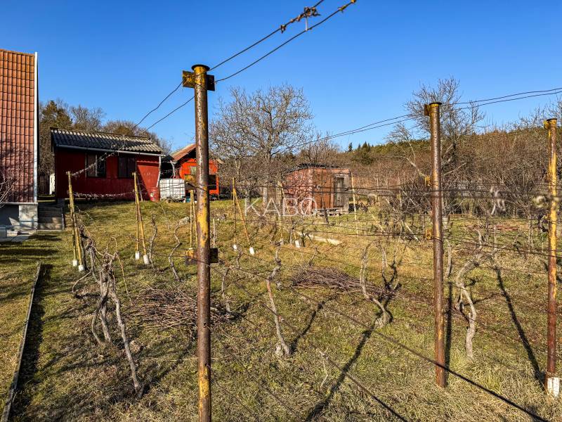 Vinice na Ambrové ulici v Nitře s chatkami a vedením.