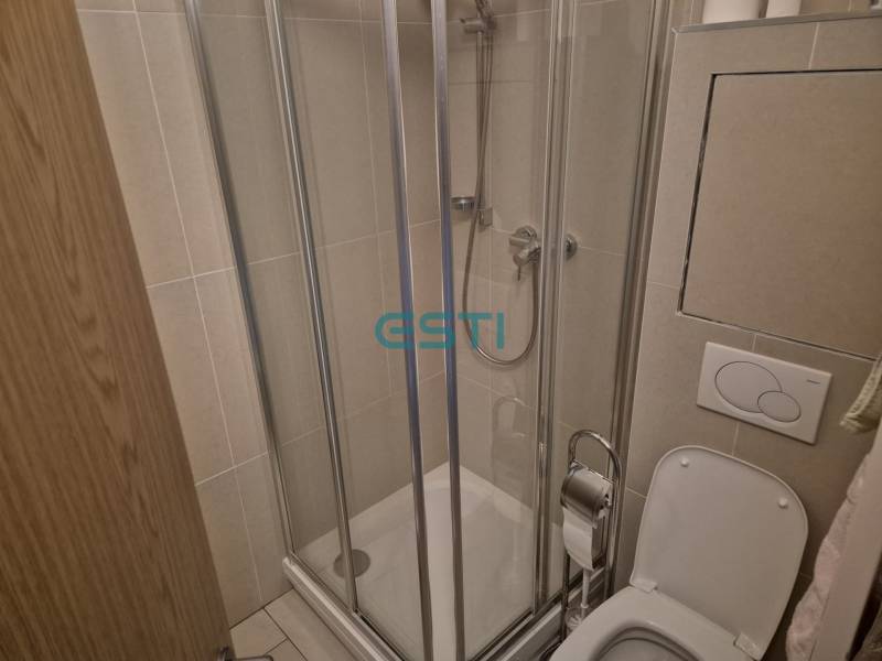 Sprchový kout a toaleta v koupelně 1-pokojového bytu.