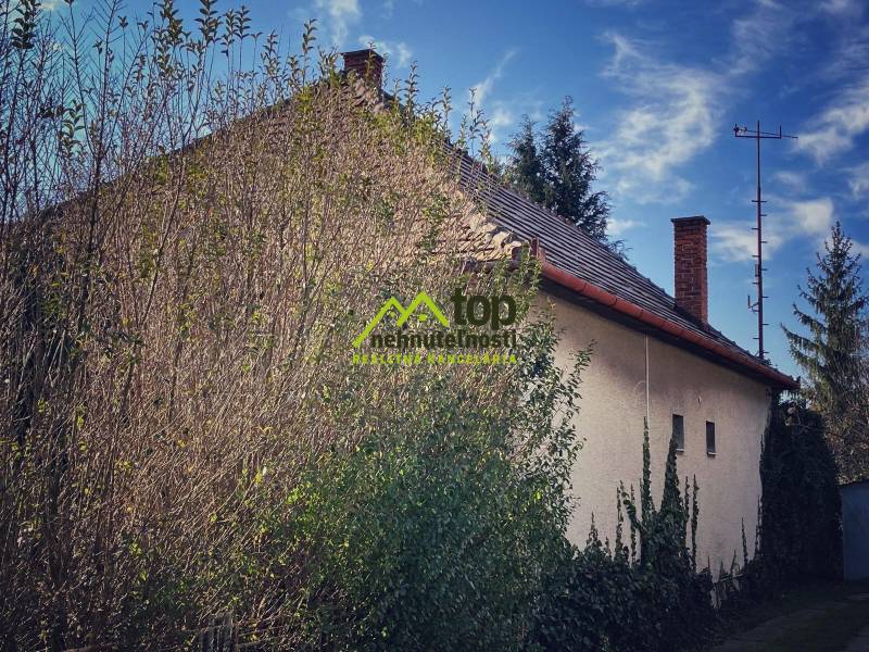 Rodinný dům v Horních Chlebanech obklopený hustou zelení a hustými stromy.