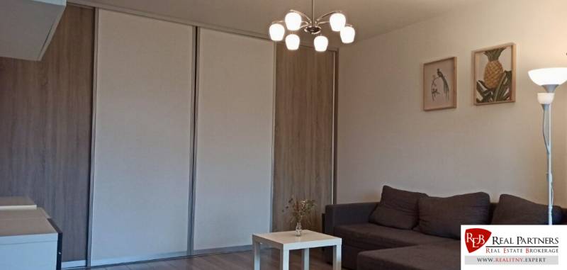 Obývací pokoj s pohovkou, stolkem a podlahou s dřevěným dekorem v 2-pokojovém bytě.