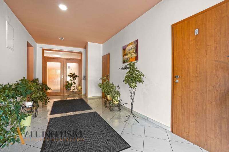 9 - 2025-09-22T100214.313.jpg