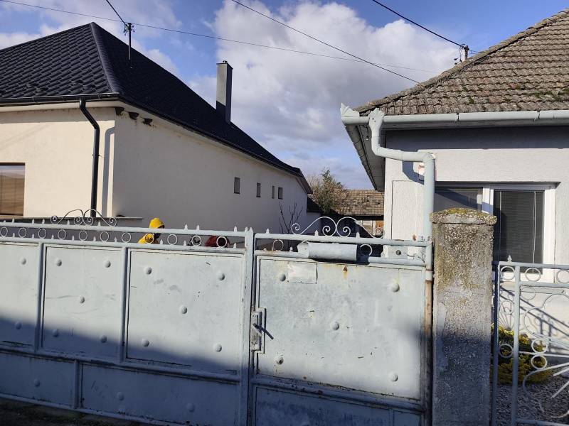 WhatsApp Image 2026-02-09 at 11.06.13.jpeg