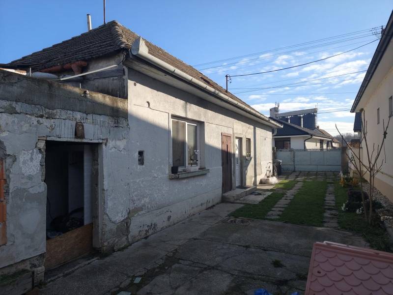 WhatsApp Image 2026-02-09 at 11.06.13 (4).jpeg