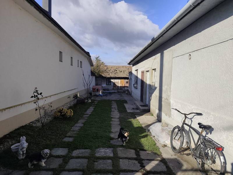 WhatsApp Image 2026-02-09 at 11.06.13 (2).jpeg