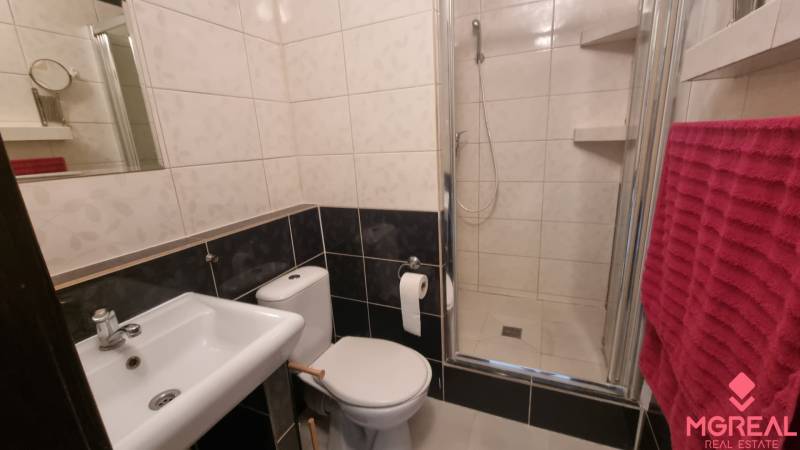 Koupelna se sprchovým koutem a toaletou v 1-pokojovém bytě, laděná v tmavých tónech.