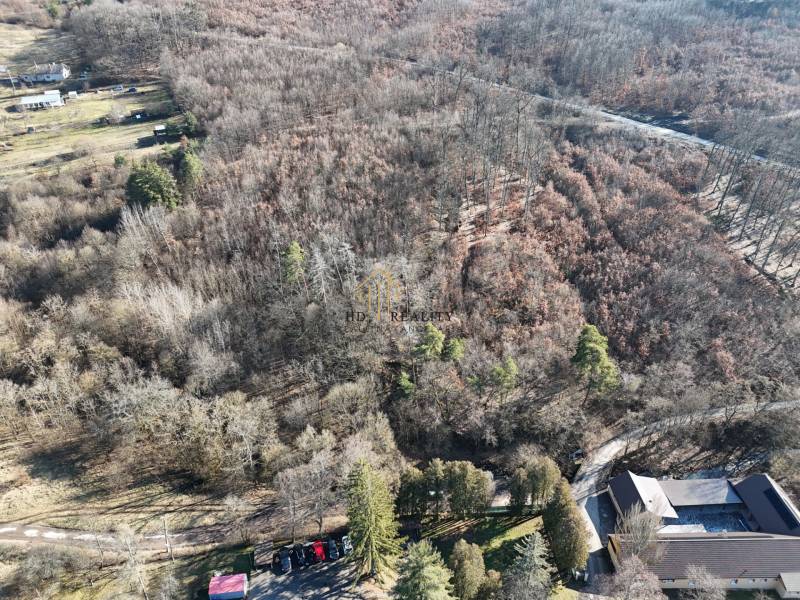 Lesnatá krajina v Krupině vhodná na pozemky - bydlení.