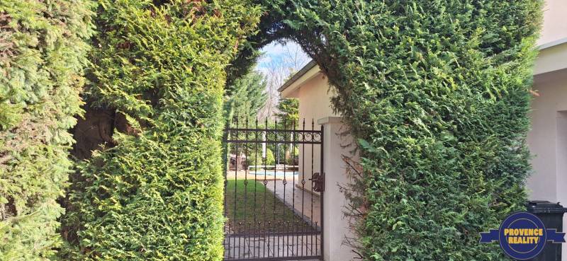 Živý plot s brankou v rodinném domě v Komárně, vede do zahrady.