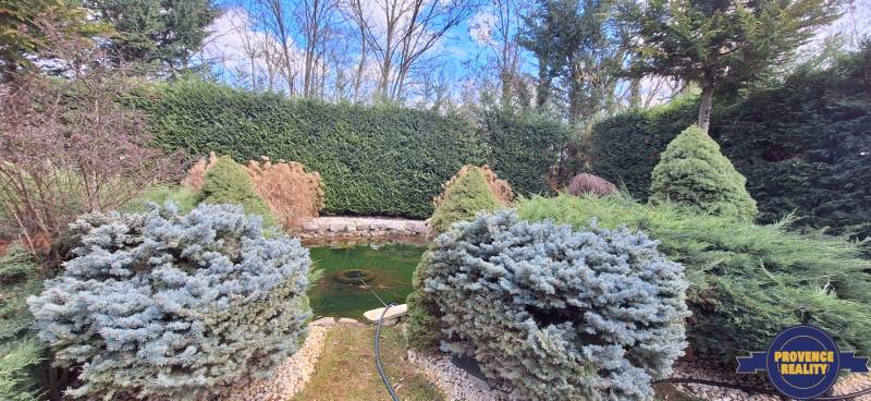 Rodinný dům v Komárně s jezírkem a okrasnými keři v zahradě.