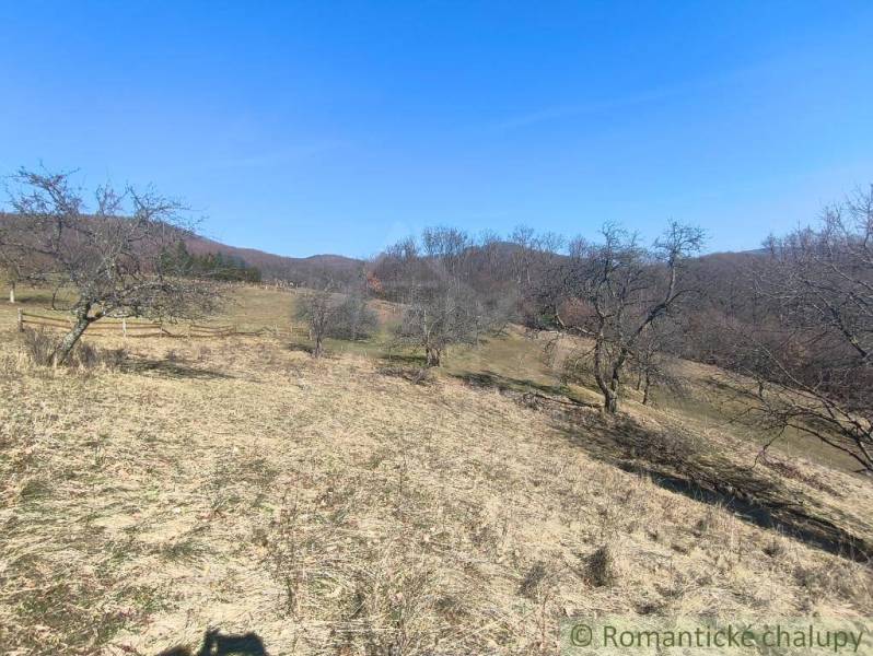 Holé zahrady v okolí Nové Bane s holými stromy a modrou oblohou.