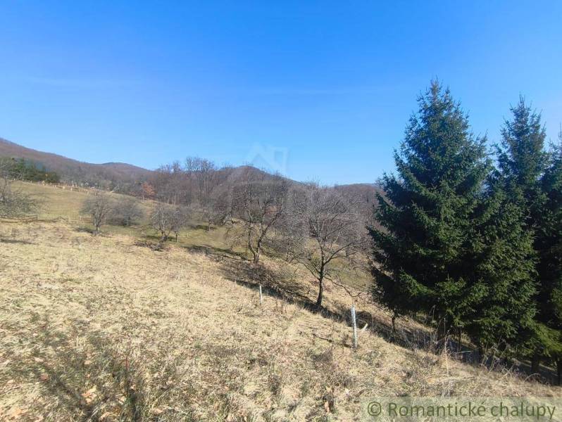 Kopcovitá krajina v Zahradách u Nové Baně s travnatými plochami a stromy.