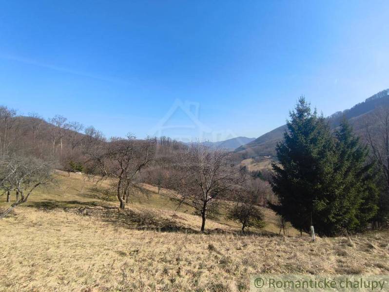 Přírodní krajina v okolí Nová Baňa se stromy a kopci na Zahradách.