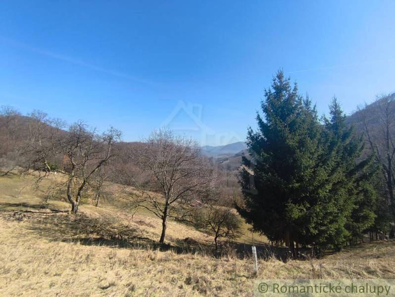 Zahrady v Nové Bani s listnatými a jehličnatými stromy na svažitém terénu pod modrou oblohou.