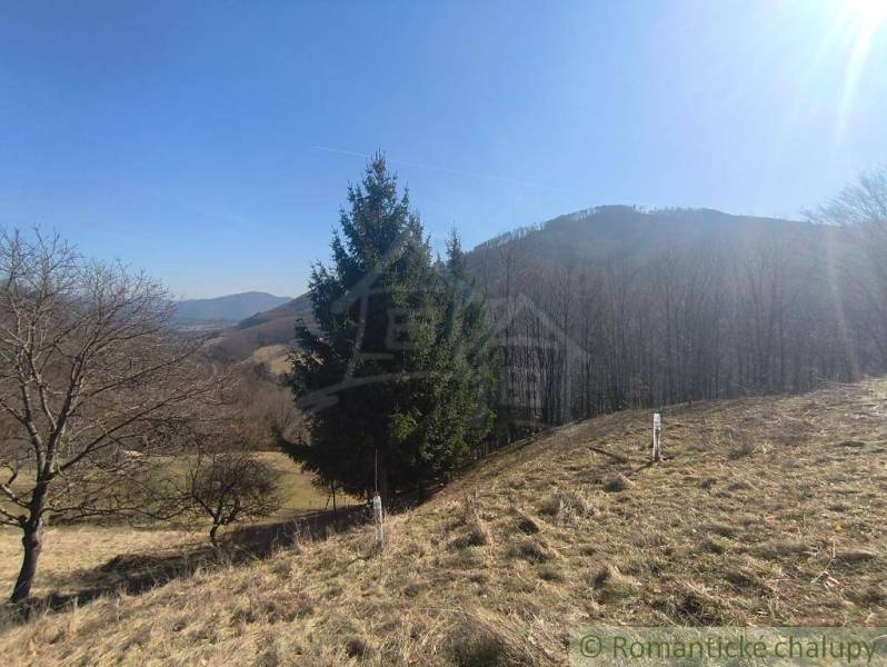 Krajina se stromy a kopci v okolí Nová Baňa v zahradách.