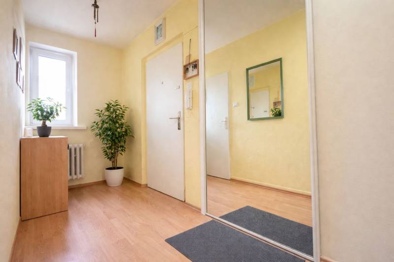 Světlá předsíň s podlahou s dřevěným dekorem, zrcadlem a pokojovými rostlinami v 2-pokojovém bytě.