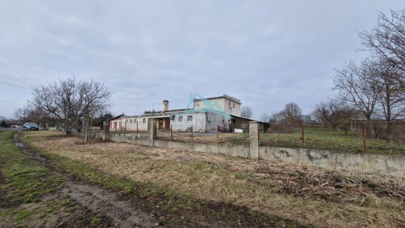 Výrobní prostory v Leseniciích s oploceným pozemkem, vedle prašné cesty a stromů.