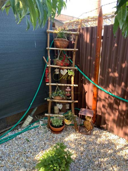 Zahrady v Dolních Krškanech v Nitře s ozdobným žebříkem a květináči na štěrkovém podkladu.