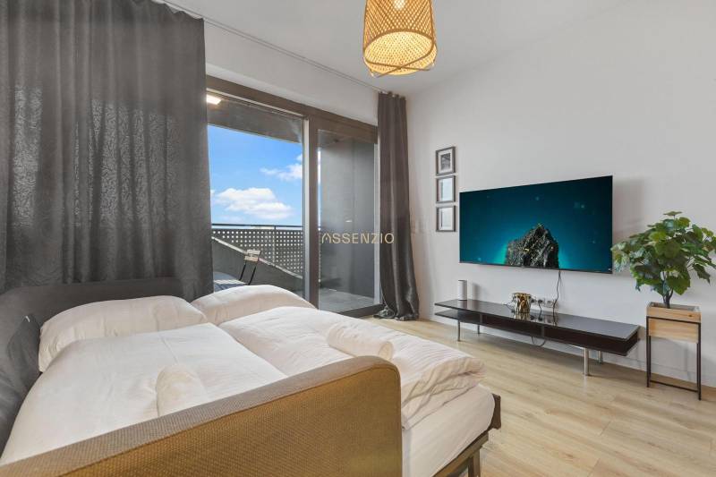 1-pokojový byt s postelí, televizorem, rostlinou a podlahou s dřevěným dekorem.