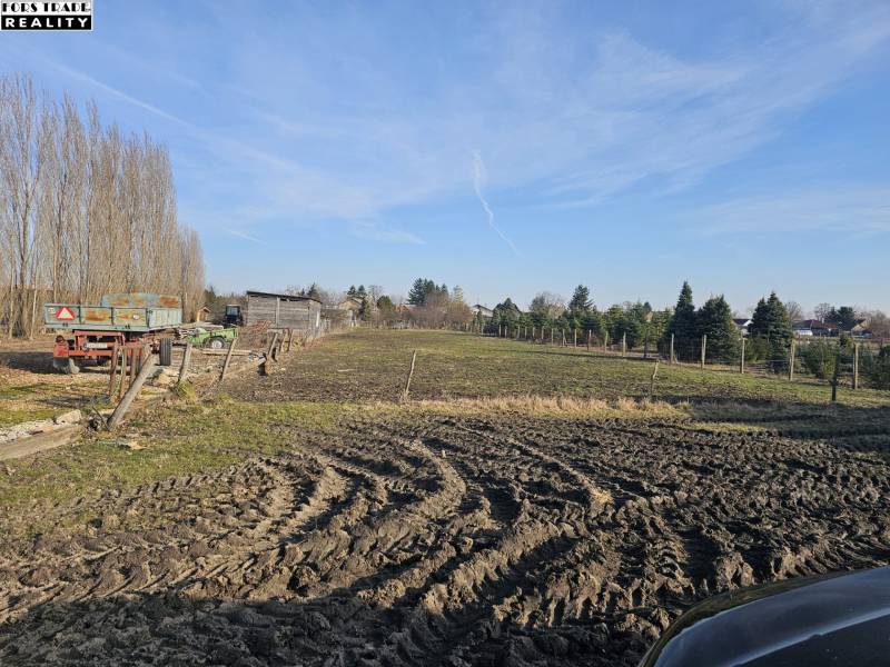 Pozemky v Tešedíkově vhodné k bydlení s výhledem na stromořadí.