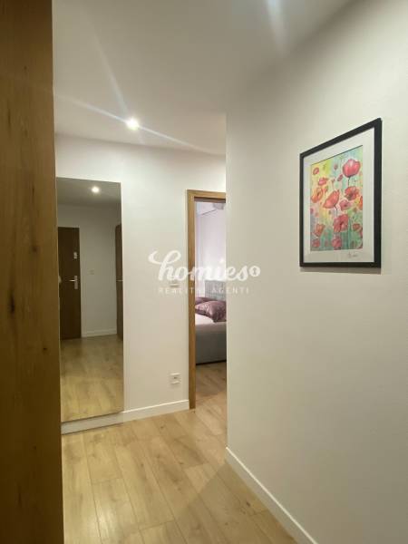 Chodba 2-pokojového bytu s podlahou s dřevěným dekorem a obrazem na stěně.