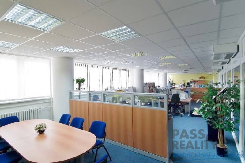 Kanceláře s modrým kobercem, velkoplošná okna, rozdělené pracovní prostory, konferenční stůl.