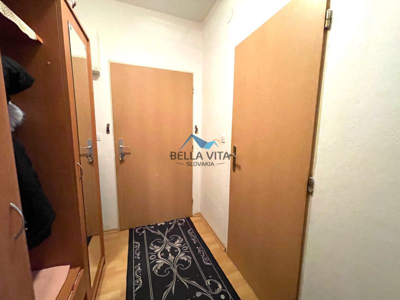 Chodba v 1-pokojovém bytě s nábytkem, dveřmi a podlahou s dřevěným dekorem.