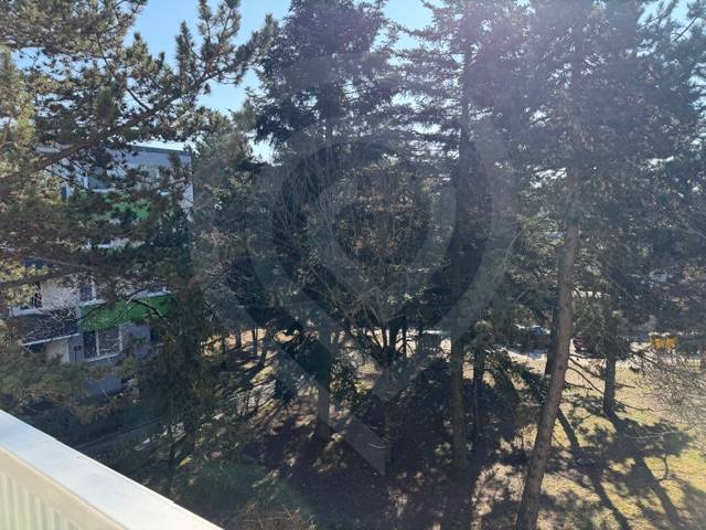 Stromy na Ondrejovově ulici v Bratislavě-Ružinově poskytují výhled z 3pokojového bytu.