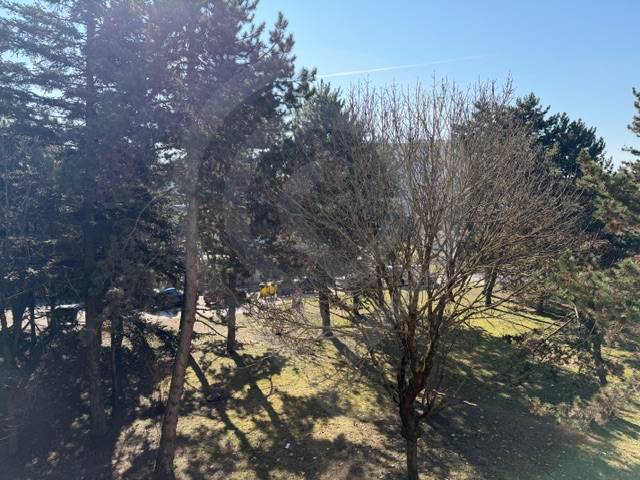 Park v Bratislavě-Ružinově na Ondrejovově ulici s hustým stromovým porostem.