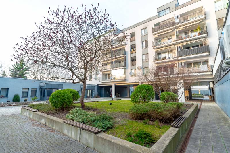 Bytový dům na Hrachové v Bratislavě - Ružinově obklopený zelení se stromem a keři.