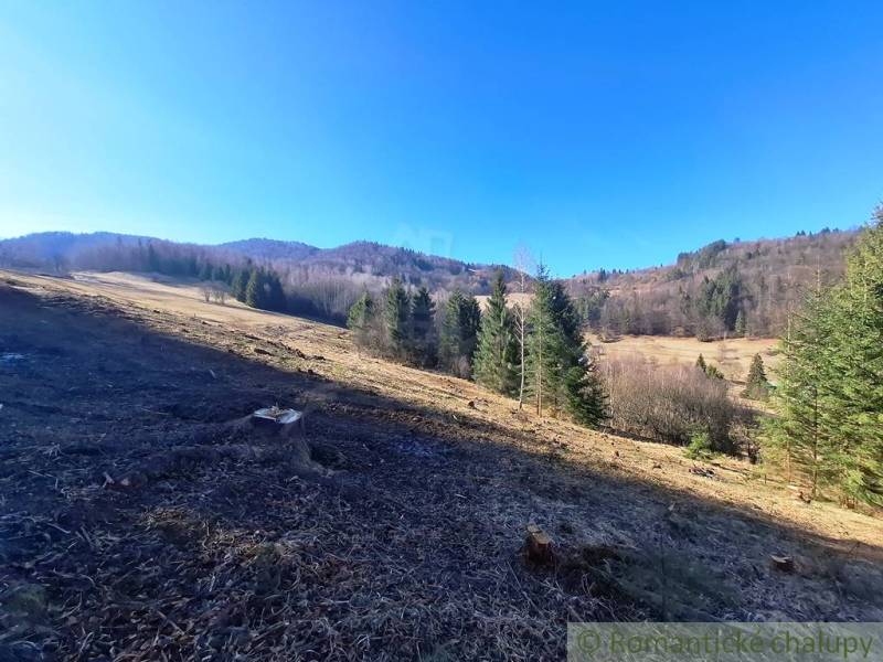 Krásná přírodní scenérie zemědělských a lesních pozemků v Hronci se stromy a loukami.
