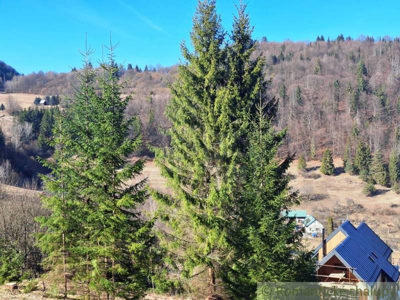 Zemědělské a lesní pozemky v Hronci, lesy a střechy domů.