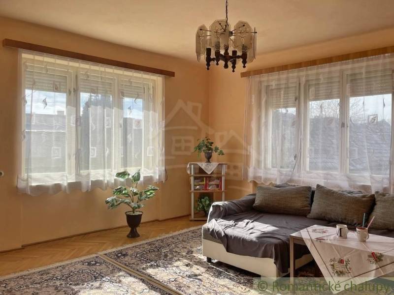 Obývací pokoj v rodinném domě s pohovkou, stolkem, květinou a podlahou s dřevěným dekorem.