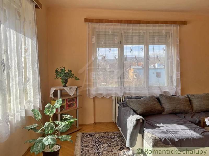 Pokoj v rodinném domě s pohovkou, rostlinou, kobercem a poličkou s knihami.