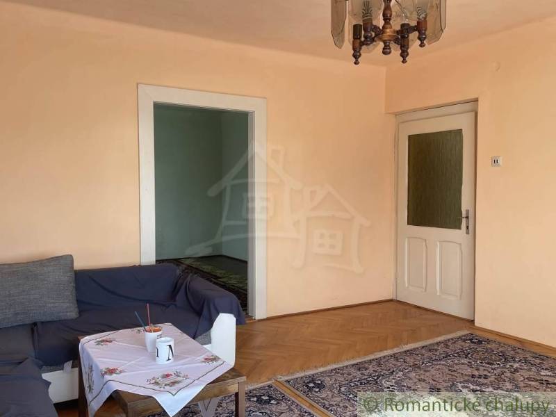 Obývací pokoj v rodinném domě s podlahou s dřevěným dekorem, pohovkou a kobercem.