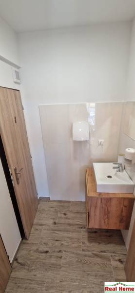 Koupelna s umyvadlem a podlahou s dřevěným dekorem v gastro prostorech.