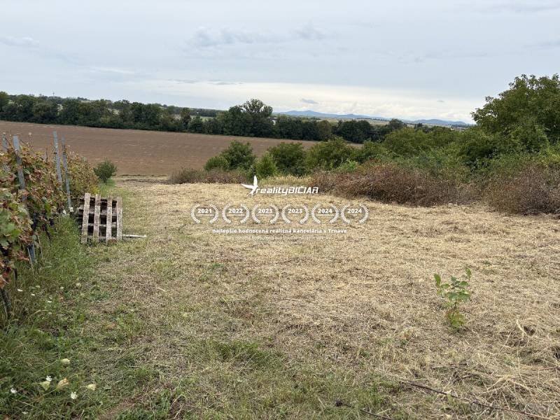 Zahrady ve Zvončíně nabízejí výhled na louky a pole v oblasti Zvončín.