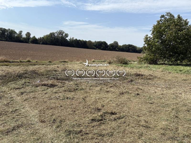 Pole a tráva v Zahradách ve Zvončíně, u Zvončína, s jasnou oblohou a stromy.