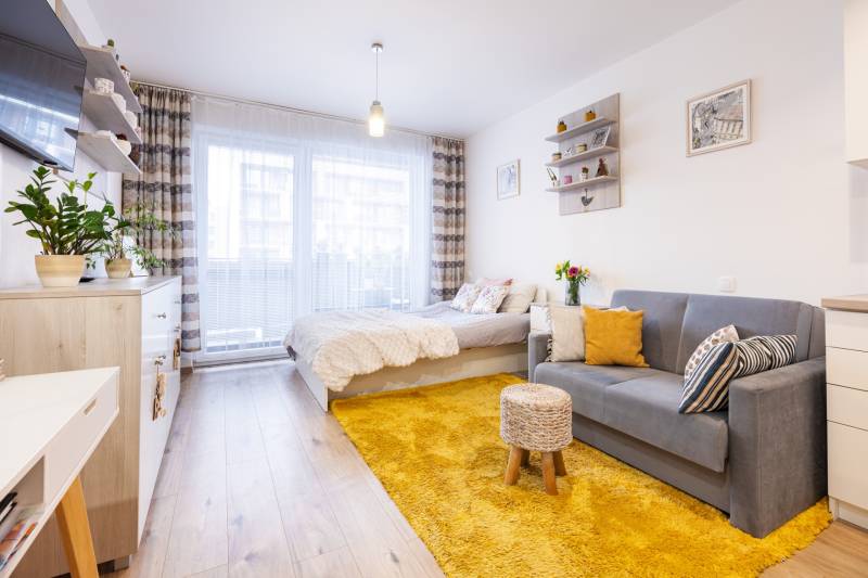 Jednoduchý 1-pokojový byt s podlahou s dřevěným dekorem, postelí, pohovkou a žlutým kobercem.