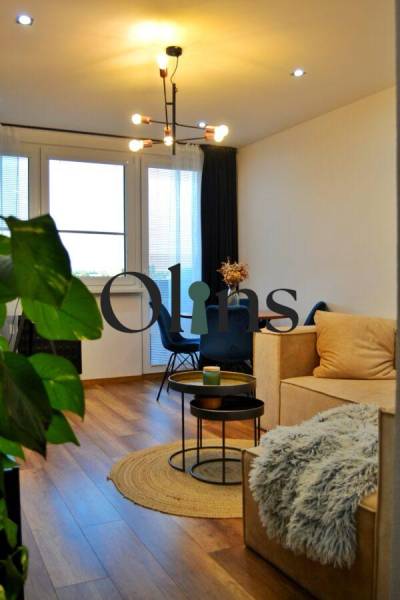 Obývací pokoj s podlahou s dřevěným dekorem, pohodlnou pohovkou a chlupatou dekou v 3-pokojovém bytě.