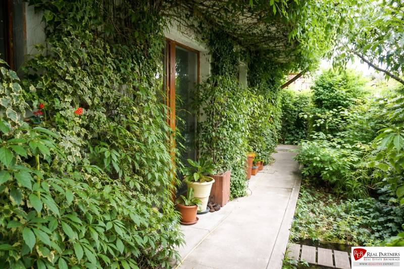 Zahrada 3pokojového bytu na Šancově ulici v Pezinku s bujnou zelení a chodníkem.