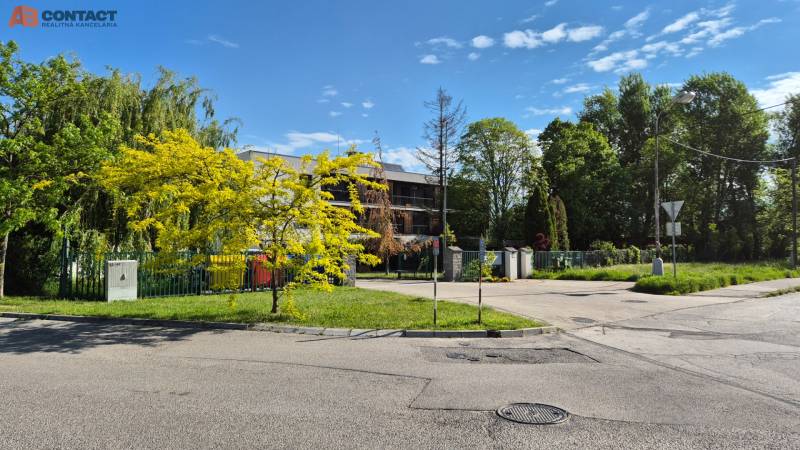 Stromy a keře u oploceného pozemku, blízko křižovatky na ulici Bodona.