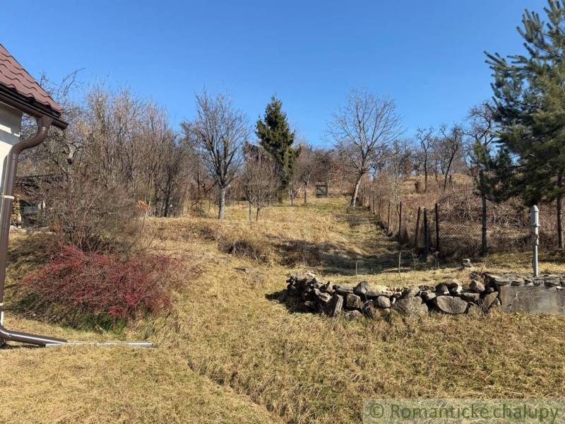 Zahrada u rodinného domu v Lipovci se stromy a kamennou zdí.